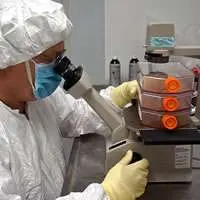 ricerca per la produzione di vaccini virali