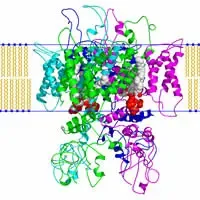 Canale ionico all'interno del doppio strato lipidico