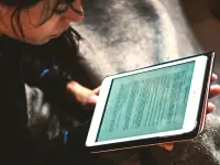 Didattica a distanza