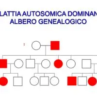 albero genealogico di una malattia mendeliana autosomica dominante con tre generazioni
