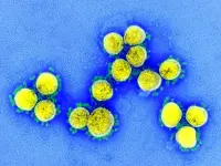 il virus SARS-CoV-2 isolato da un paziente