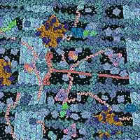 disegno con le principali molecole che costituiscono il citoplasma