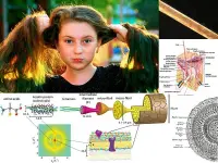 Serie di immagini che mostrano i capelli e via via entrano nei particolari della struttura molecolare