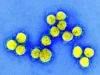 il virus SARS-CoV-2 isolato da un paziente