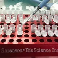 Distribuzione della soluzione da esaminare nei contenitori per PCR